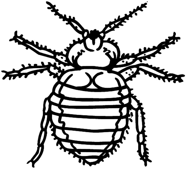 Beetle vinyl decal. Customize on line.      Animals Insects Fish 004-1105  
